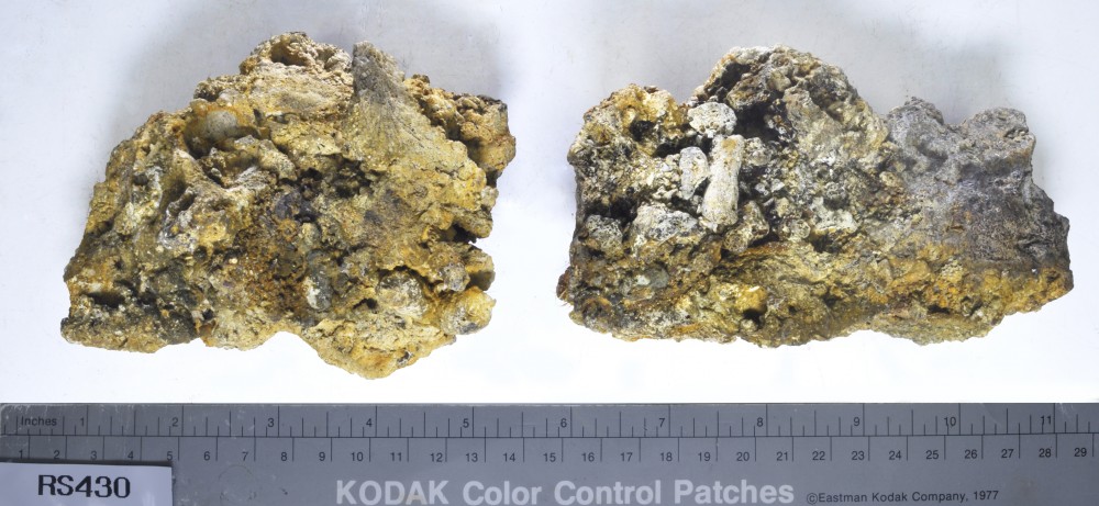 RS430 Miscellaneous/Unidentified artefact recovered from Lively Rowley Shoals