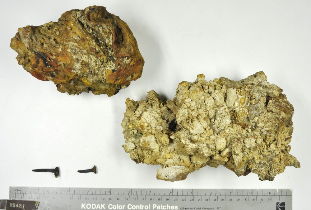 RS431 Concretions artefact recovered from Lively Rowley Shoals