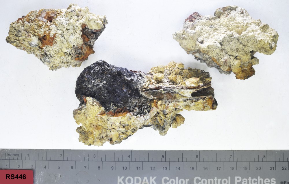 RS446 Concretions artefact recovered from Lively Rowley Shoals