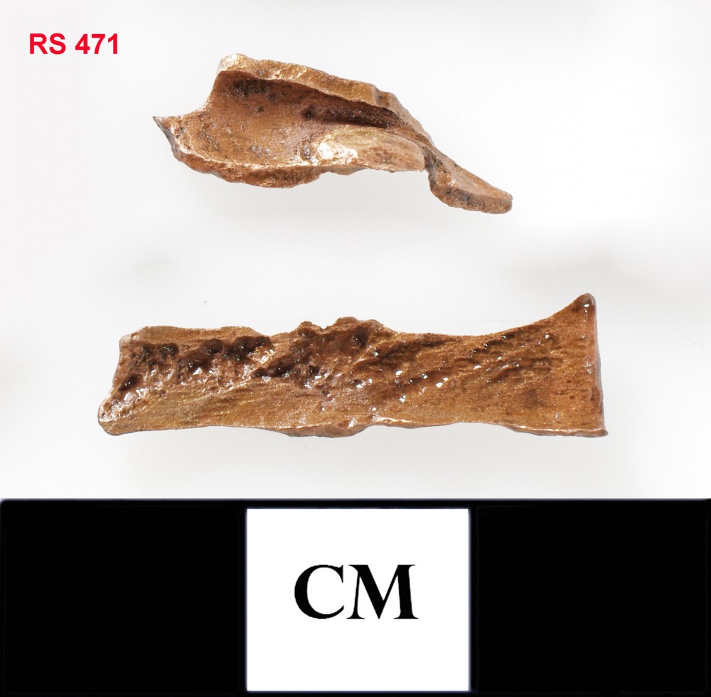 RS471 Copper/brass artefact recovered from Lively Rowley Shoals