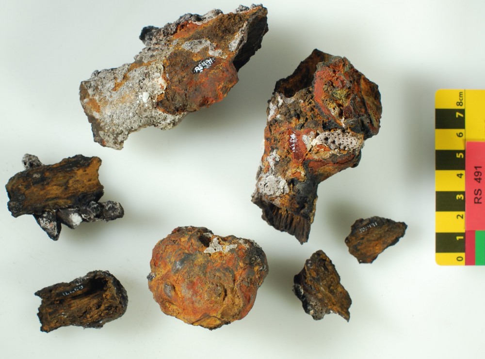 RS491 Concretions artefact recovered from Lively Rowley Shoals