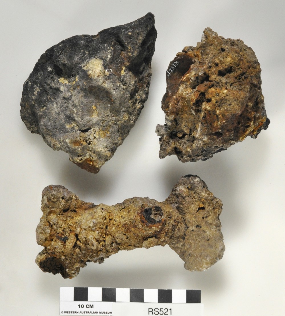 Concretions artefact recovered from Lively Rowley Shoals