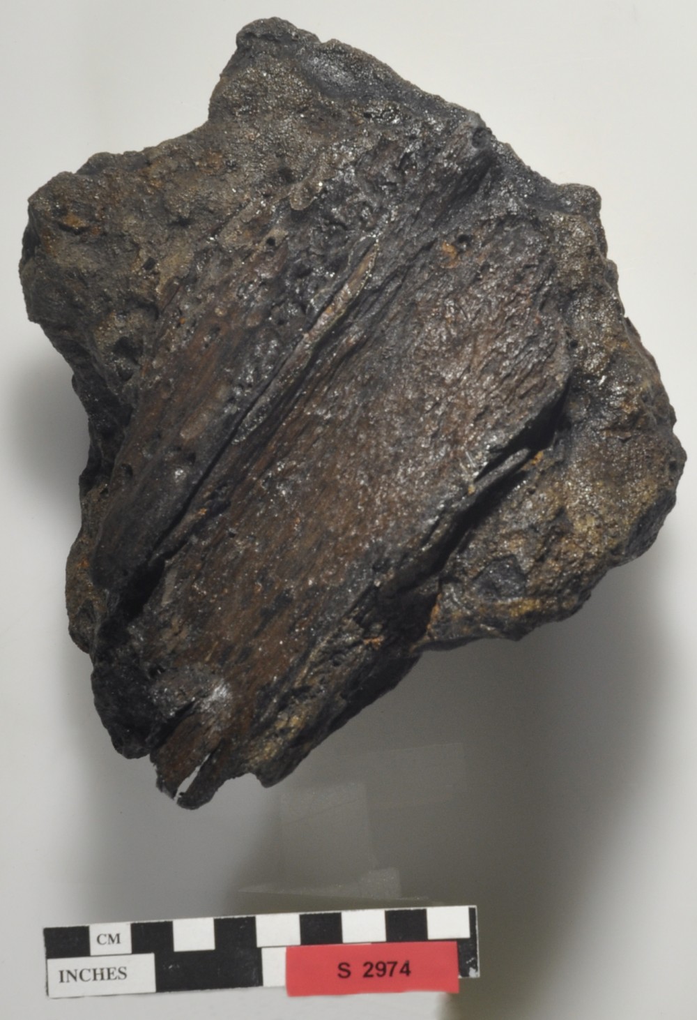 S2947 Copper/brass artefact recovered from Star