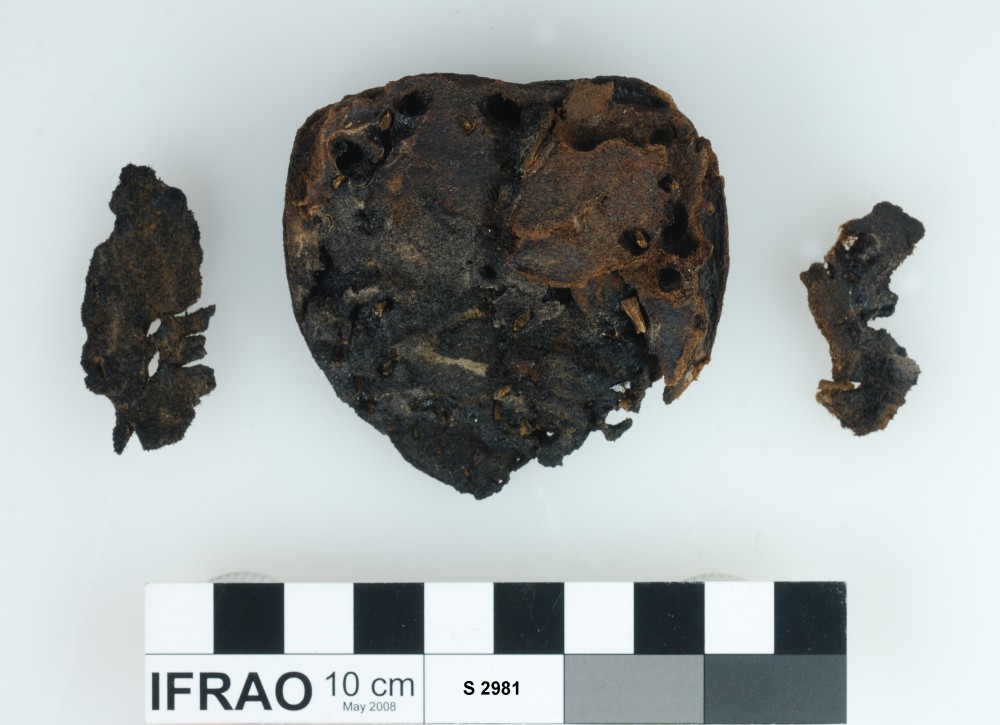 S2981 Rope/leather/etc. artefact recovered from Star