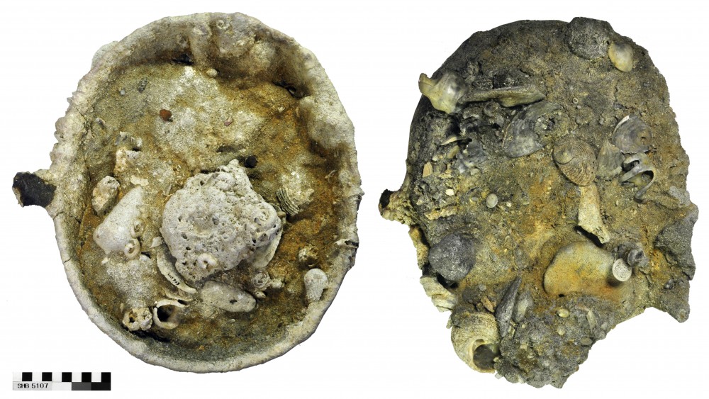 Cargo artefact recovered from Shoalwater Bay