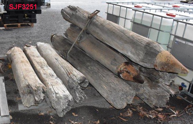 TIMBER artefact recovered from S.Jetty Fremantle
