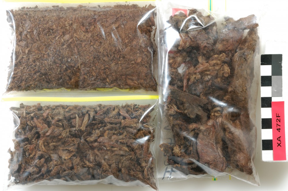 XA472F Rope/leather/etc. artefact recovered from Xantho