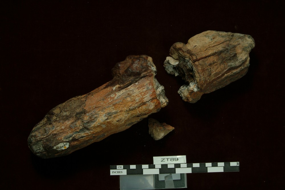 ZT89 FERROUS artefact recovered from Zuiddorp (Zuytdorp)
