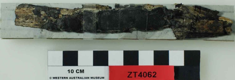 ZT4062 Armament artefact recovered from Zuiddorp (Zuytdorp)