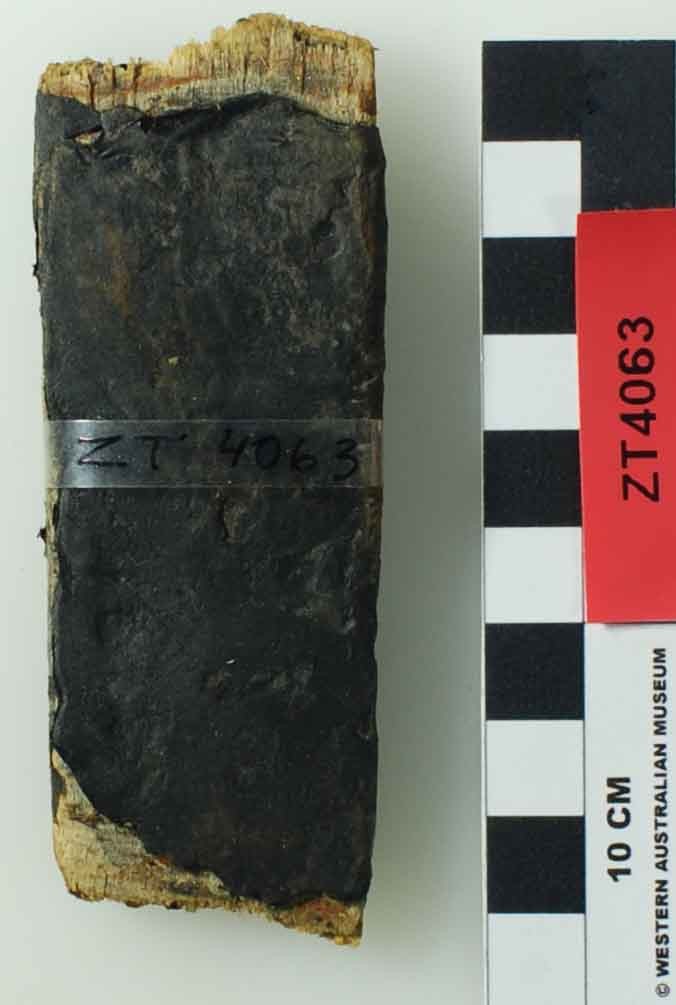 ZT4063 Armament artefact recovered from Zuiddorp (Zuytdorp)