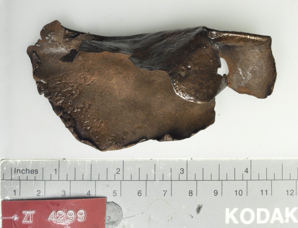 ZT4299 Copper/brass artefact recovered from Zuiddorp (Zuytdorp)