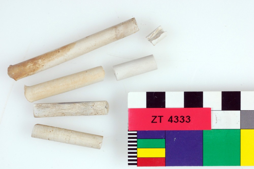 Clay pipes artefact recovered from Zuiddorp (Zuytdorp)