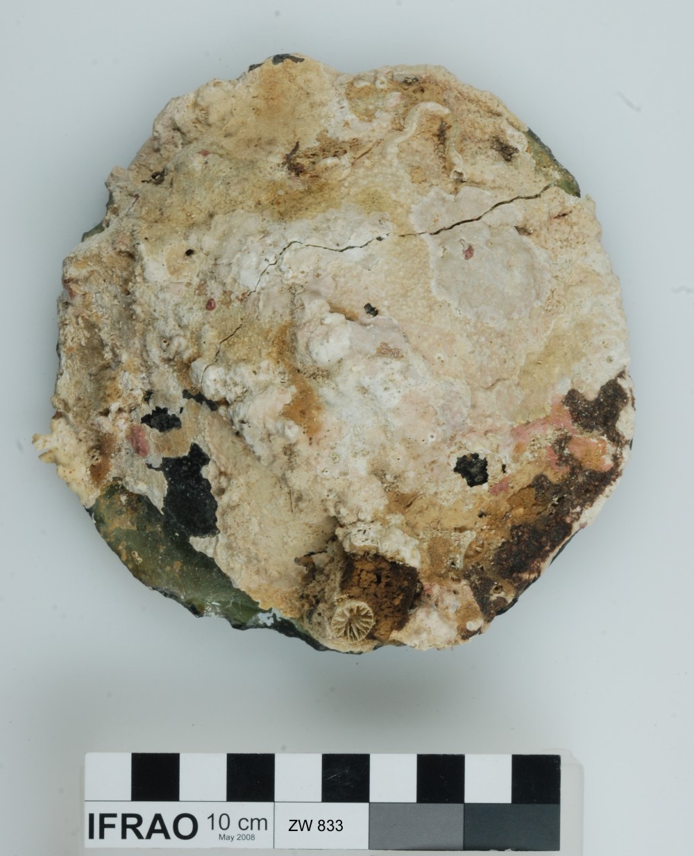 Glass artefact recovered from Zeewijk