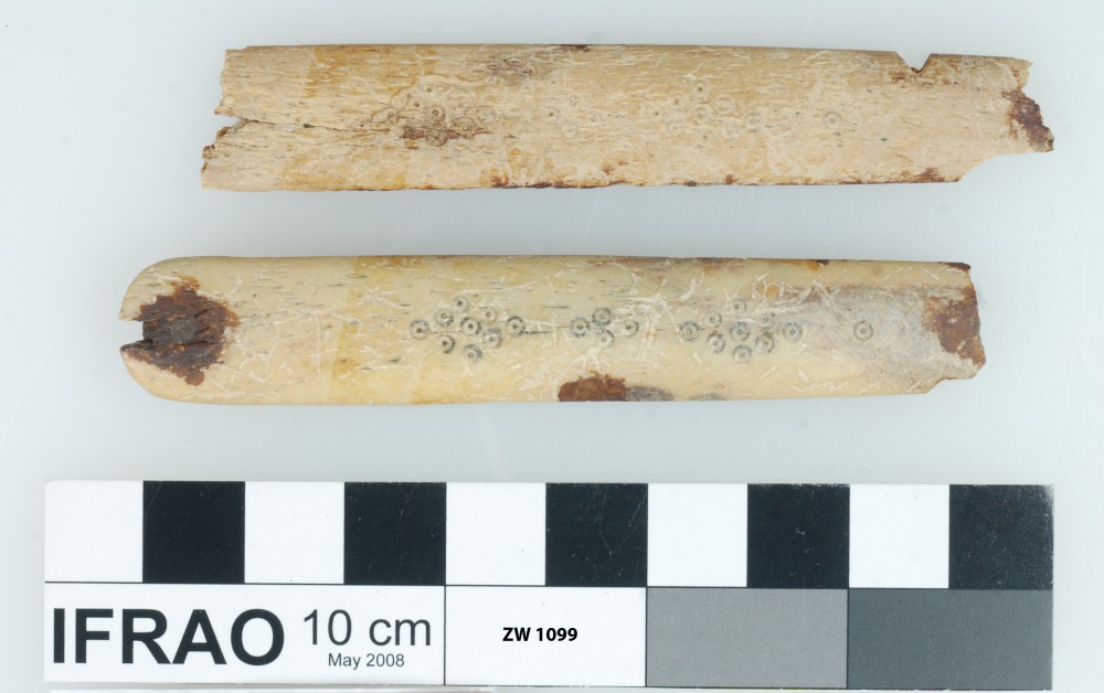 ZW1099 Animal artefact recovered from Zeewijk