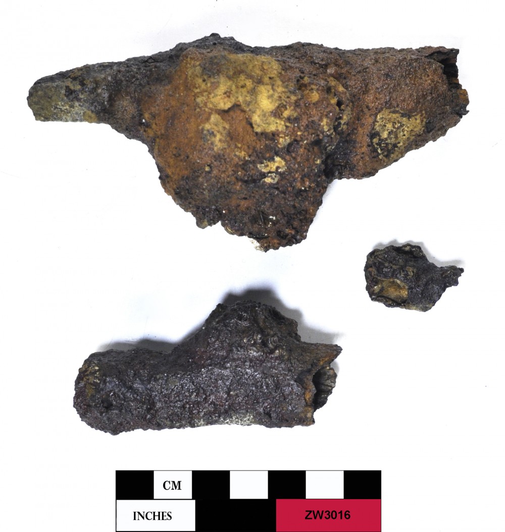 Concretions artefact recovered from Zeewijk