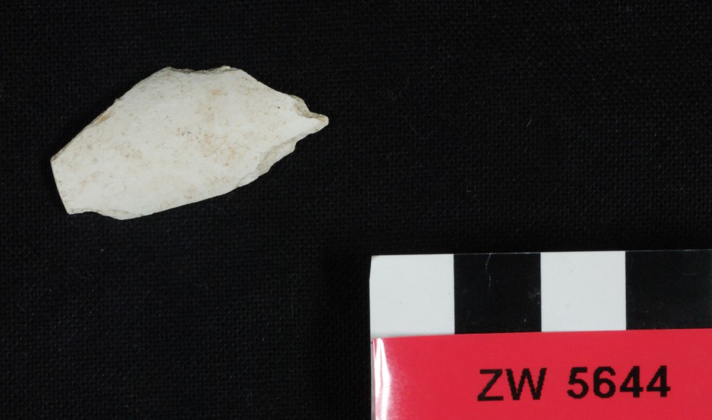 Clay pipes artefact recovered from Zeewijk