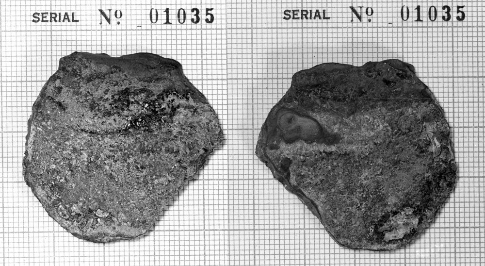  Unidentified