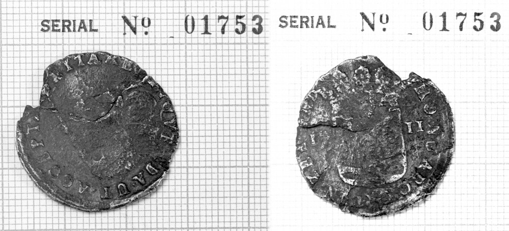 ZT1753Certificate Schelling