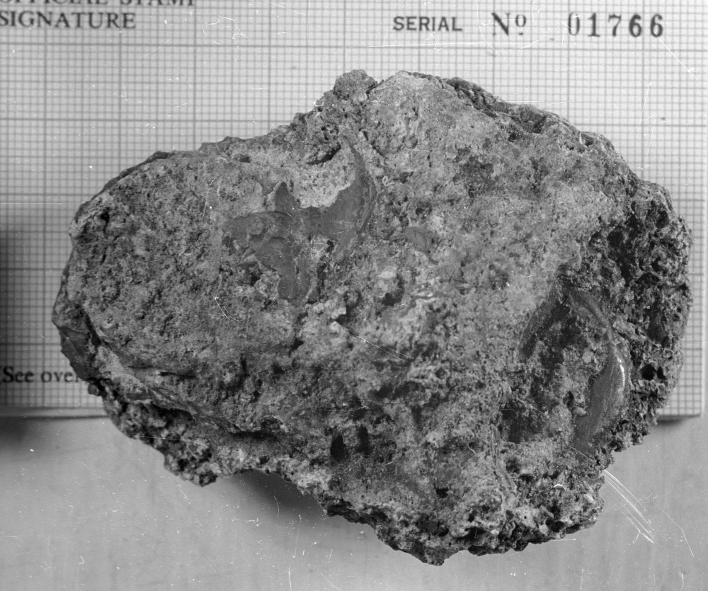  Concretion 
