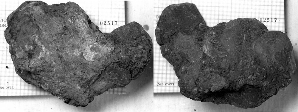 GT2517Certificate Concretion