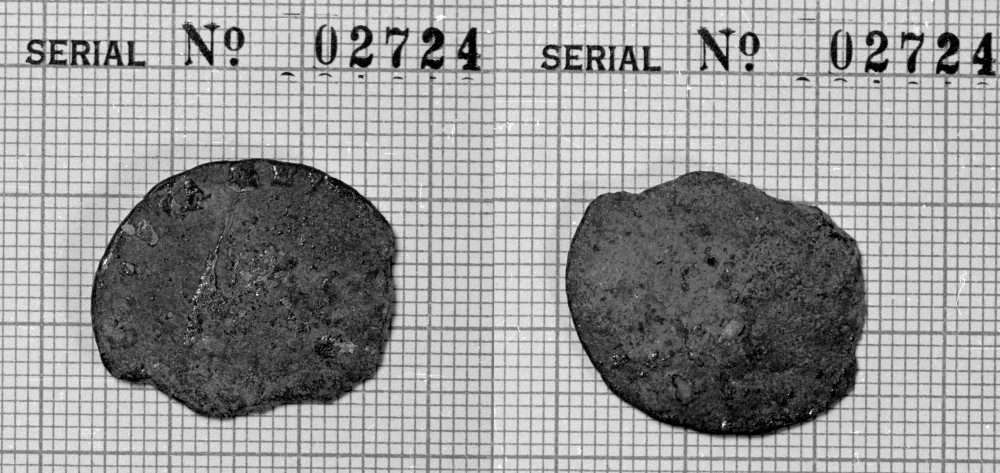  Schelling 