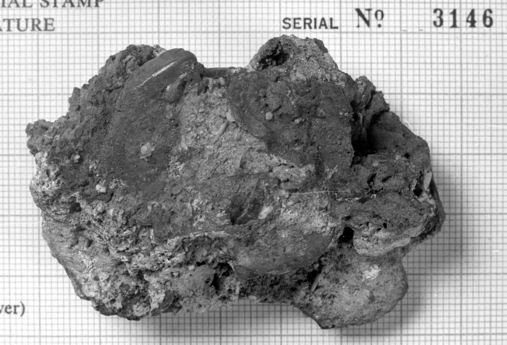  Unidentified