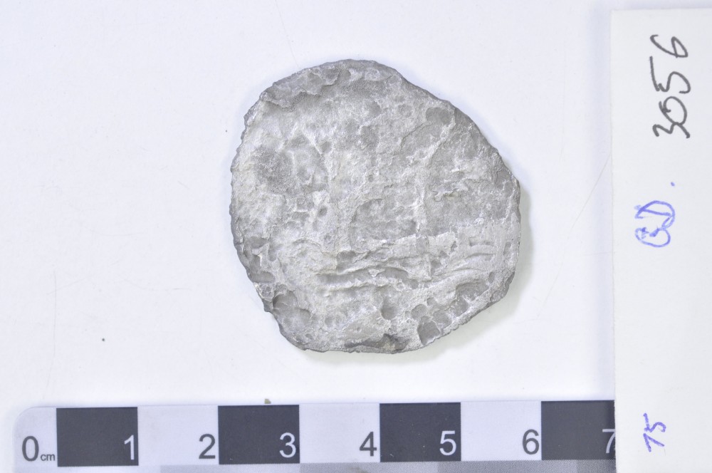 Silver 8 Reales