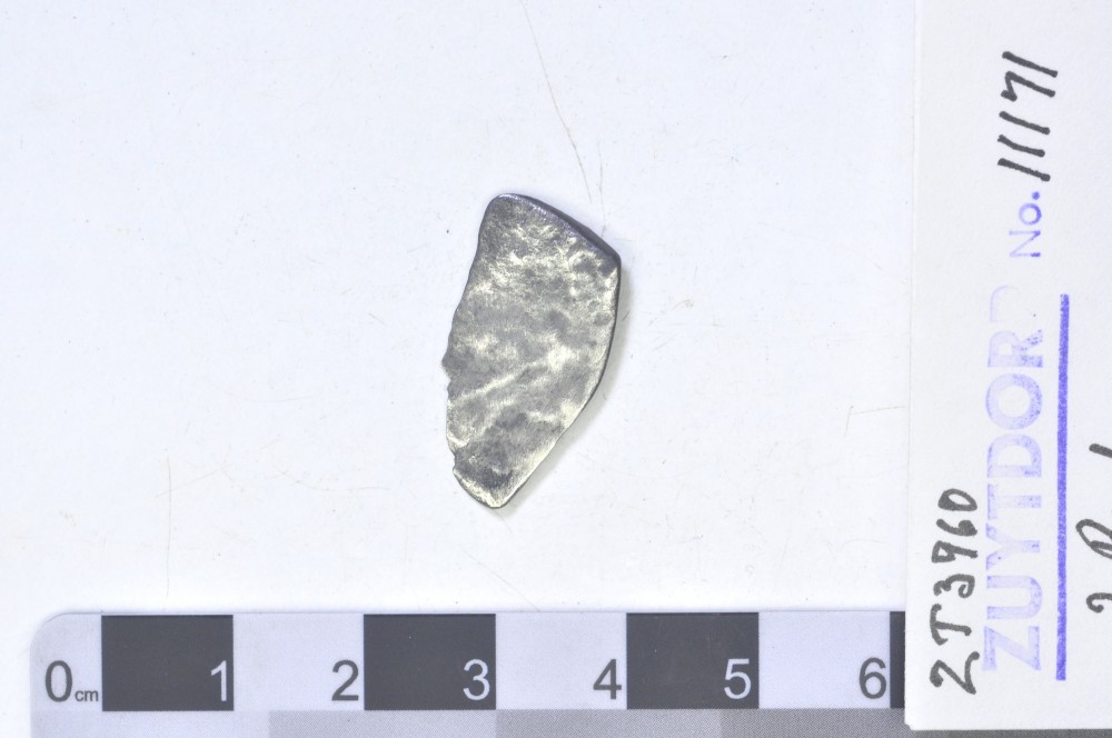 ZT11171 Silver 2 Reales