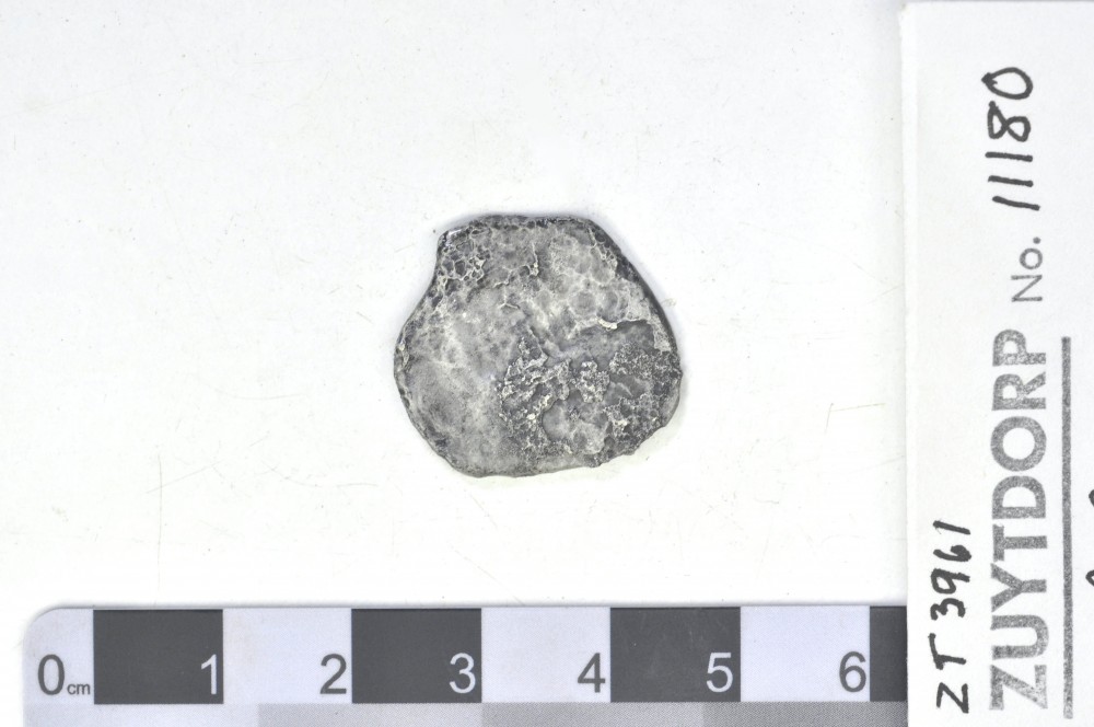 ZT11180 Silver 2 Reales
