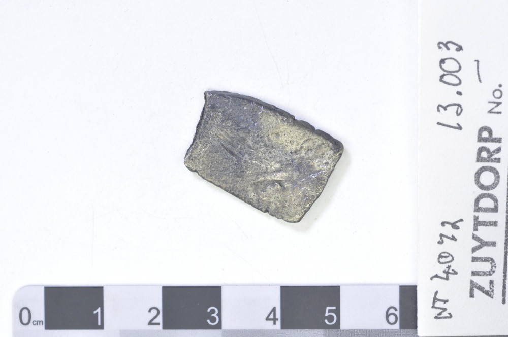 ZT13003 Silver 2 Reales