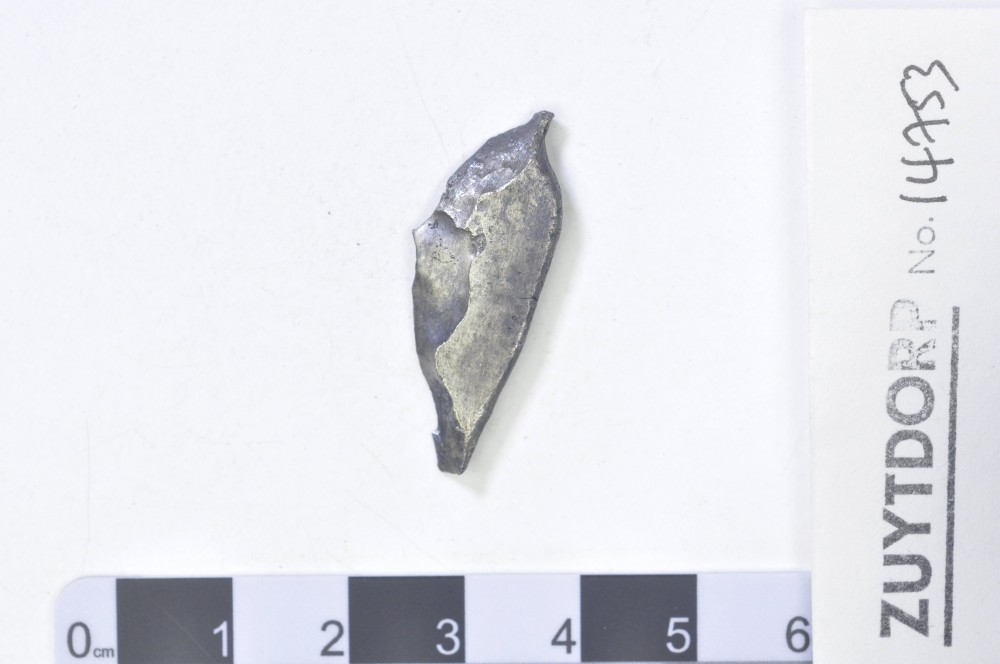 ZT14753 Silver 2 Reales
