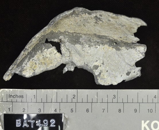 Lead artefact recovered from Batavia