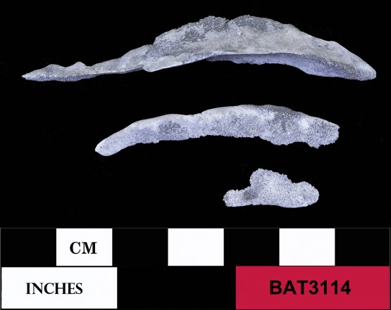 Pewter artefact recovered from Batavia