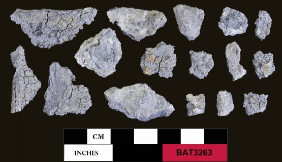 Pewter artefact recovered from Batavia