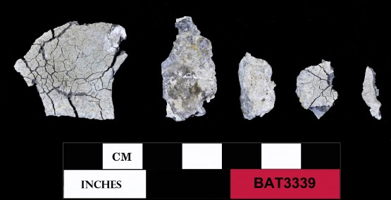 Pewter artefact recovered from Batavia