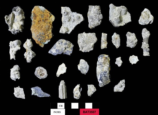 Pewter artefact recovered from Batavia