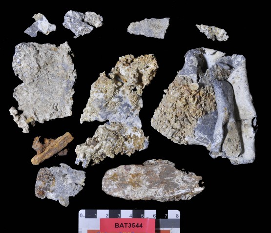 Lead artefact recovered from Batavia
