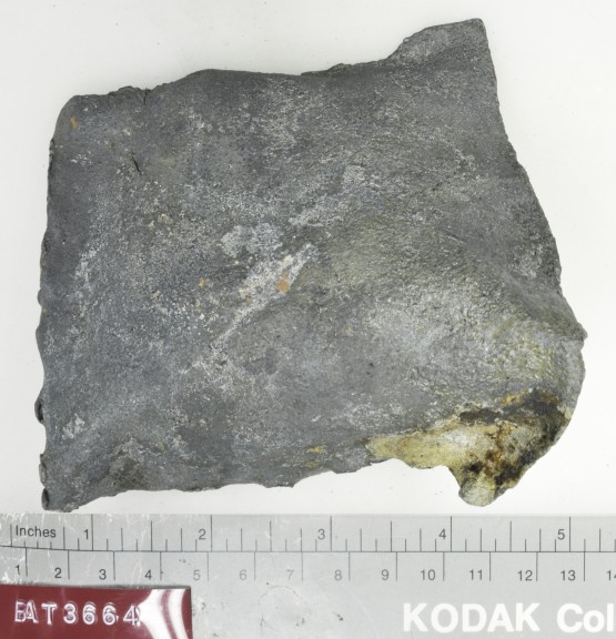 Lead artefact recovered from Batavia