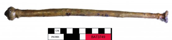Copper/brass artefact recovered from Batavia