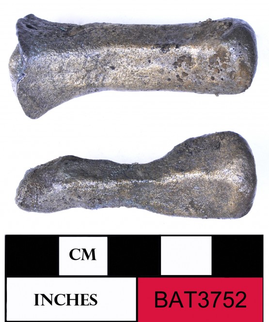 Bronze artefact recovered from Batavia