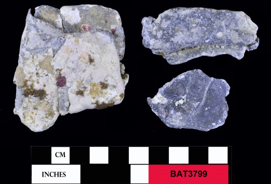 Lead artefact recovered from Batavia