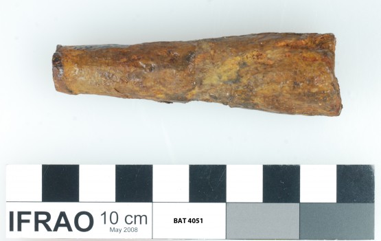 Animal artefact recovered from Batavia