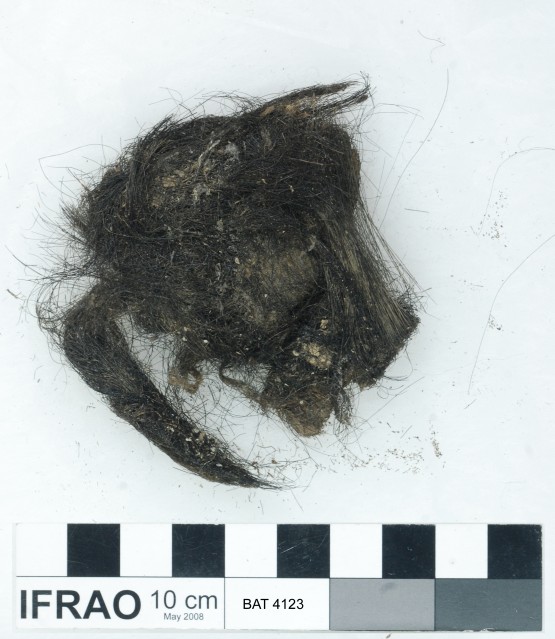 Rope/leather/etc. artefact recovered from Batavia