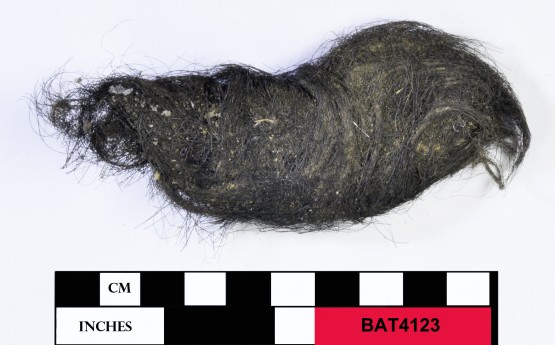 Rope/leather/etc. artefact recovered from Batavia