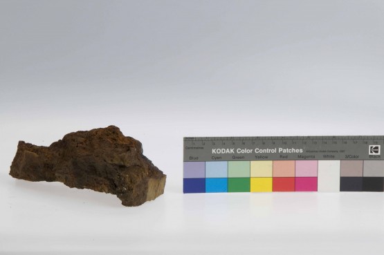 Unspecified artefact recovered from Batavia