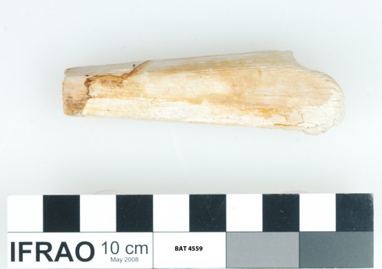 Animal artefact recovered from Batavia