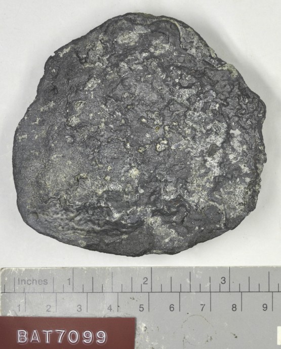Lead artefact recovered from Batavia