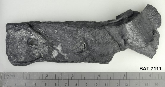 Lead artefact recovered from Batavia