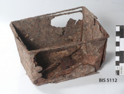 BIS5112 - FERROUS
