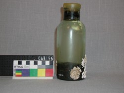 CA3156 - Glass